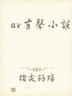 av有声小说封面
