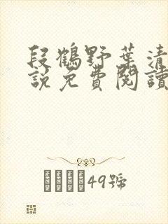 段鹤野叶清璃小说免费阅读最新章节