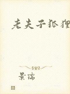 老夫子狐狸仙封面