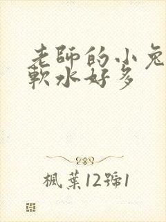 老师的小兔子好软水好多