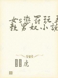 女s惩罚玩弄调教男奴小说