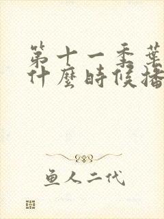 第十一季叶罗丽什么时候播出