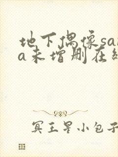 地下偶像sana未增删在线观看