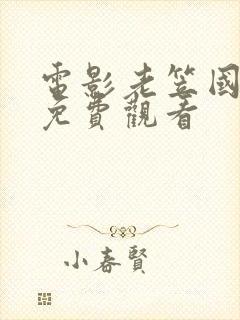 电影老笠国语版免费观看