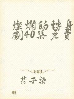 灿烂的转身电视剧40集免费观看高清