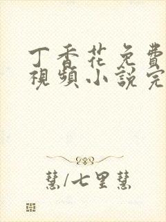 丁香花免费高清视频小说完整