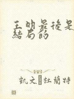 王明最后是什么结局的封面