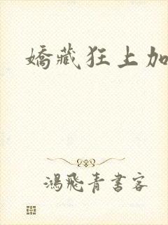 娇藏狂上加狂封面