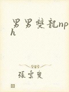 男男双龙np高h