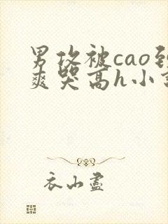 男攻被cao到爽哭高h小说