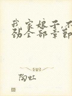 我家娘子,不对劲全部章节