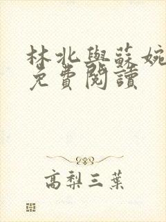 林北与苏婉全文免费阅读