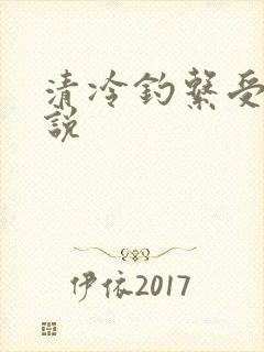 清冷钓系受的小说