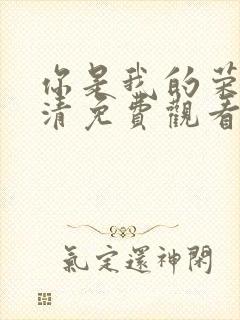 你是我的荣耀超清免费观看电视剧