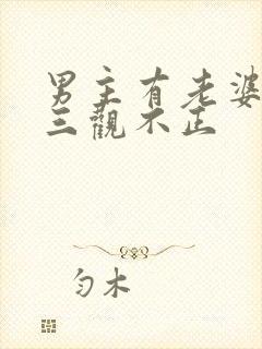 男主有老婆出轨三观不正封面