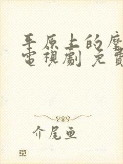 平原上的摩西 电视剧 免费