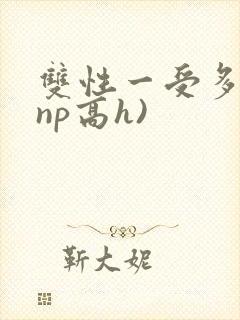 双性一受多攻(np高h)
