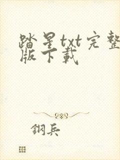 踏星txt完整版下载