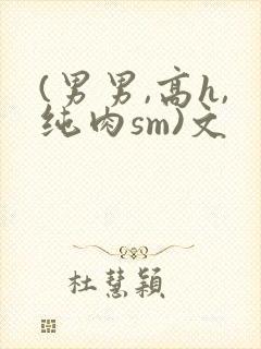 (男男,高h,纯肉sm)文