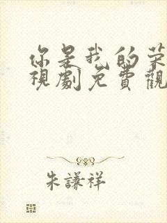 你是我的荣耀电视剧免费观看全集在线播放