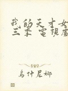 我的天才女友第三季 电视剧封面