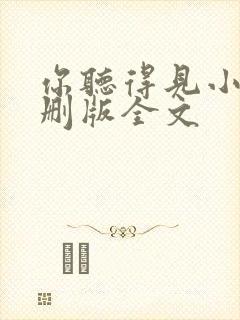 你听得见小说未删版全文