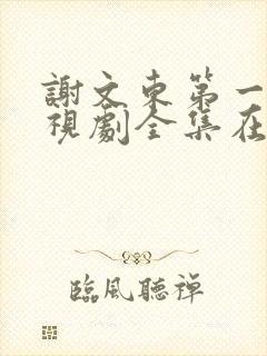 谢文东第一季电视剧全集在线观看高清