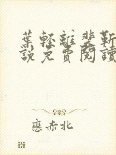 叶轻离裴靳墨小说免费阅读无弹窗