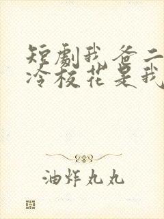 短剧我爸二婚高冷校花是我妹完整版