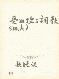 受m攻s调教(sm,h)