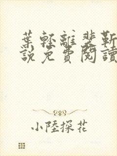 叶轻离裴靳墨小说免费阅读无弹窗