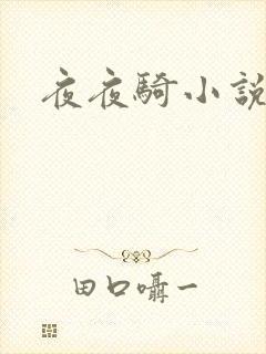 夜夜骑小说