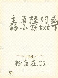 主角陆羽盛凌云的小说txt下载