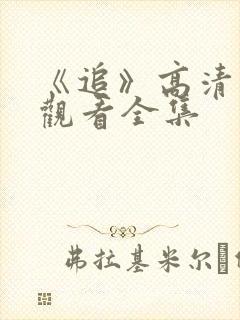 《追》高清免费观看全集