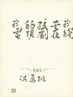 我的孩子我的家电视剧在线观看封面