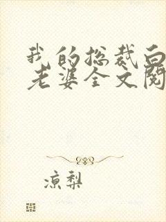 我的总裁白富美老婆全文阅读免费