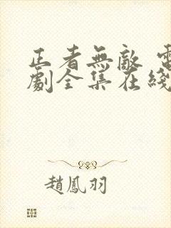 正者无敌 电视剧全集在线看