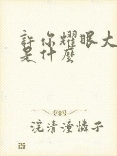 许你耀眼大结局是什么