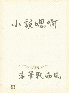 小说嗯啊