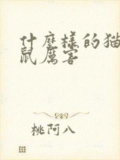 什么样的猫抓老鼠厉害