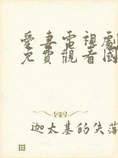 爱妻电视剧泰剧免费观看国语版