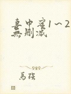妻中蜜1～2集无删减封面