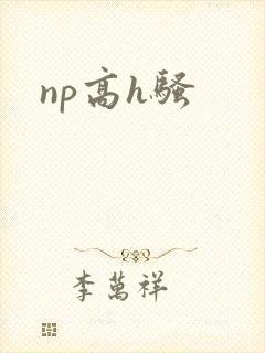 np高h骚
