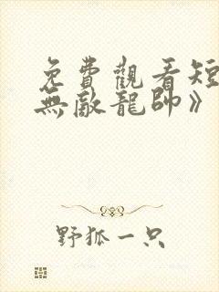 免费观看短剧《无敌龙帅》