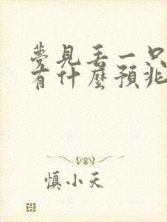 梦见丢一只鞋子有什么预兆周公解梦