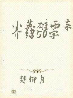 小英雄雨来作者介绍50字