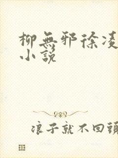 柳无邪徐凌雪的小说