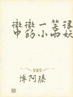 微微一笑很倾城中的小雨妖妖封面