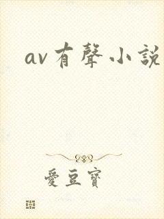 av有声小说