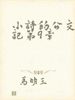 小诗的公交车日记第9章封面